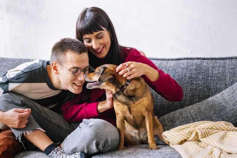 What Are the Different Types of Furnaces? A lovely couple sitting on the sofa and playing with their dog. Everybody is smiling.